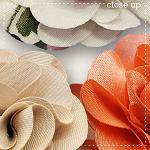 CU Flowers 9 by lliella designs