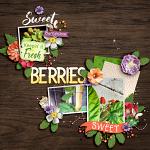 Layout by Carrie using Tutti Frutti Bundle by lliella designs