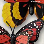 CU Butterflies 10 by lliella designs