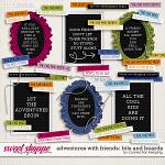 Adventures With Friends Add on Collection Boards and Bits Preview by Connection Keepiing