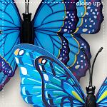 CU Butterflies 11 by lliella designs