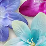 CU Flowers 19 by lliella designs