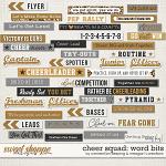 Cheer Squad Word Bits Preview by Meagan's Creations and Connection Keeping