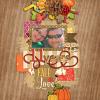 Layout by Rebecca using Fall Into Autumn by lliella designs