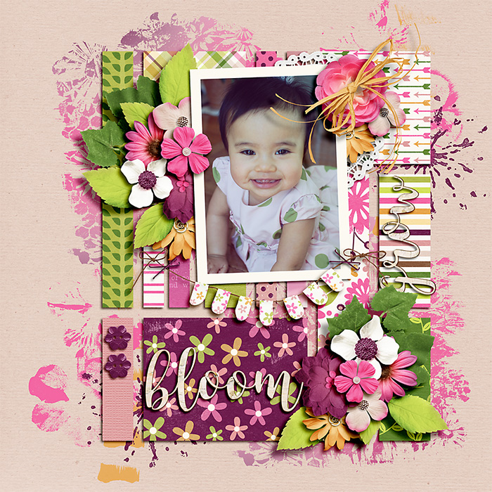 DSI_onthegridV1-templates-layout-immaculeah-62f3cc4a07.jpg