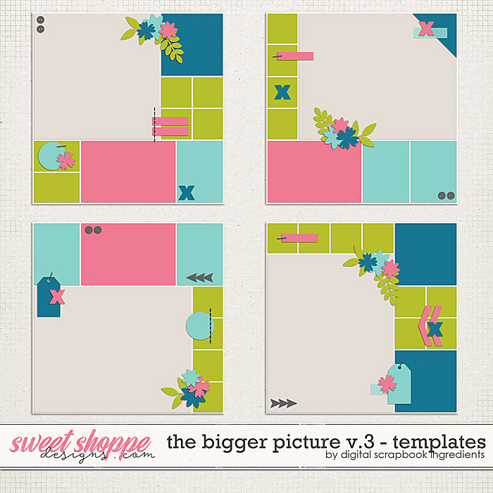 The Bigger Picture Templates Vol.3 by Digital Scrapbook Ingredients