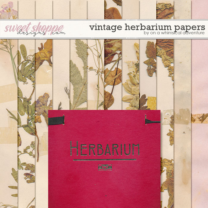 Introduction of herbarium image