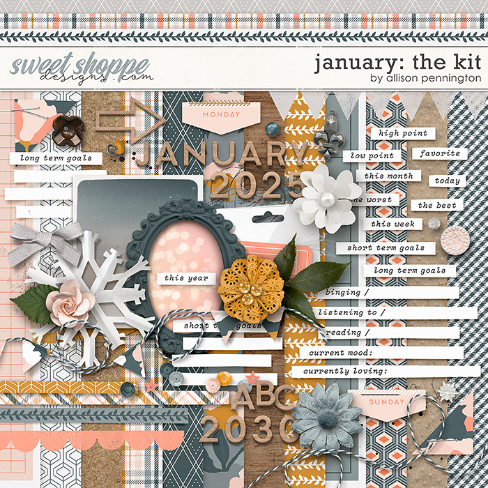 January: The Kit by Allison Pennington