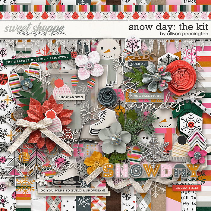 Snow Day: The Kit by Allison Pennington