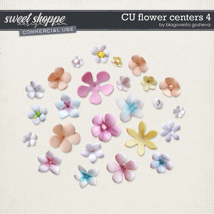 CU Flowers centers 4 by Blagovesta Gosheva CU Flowers centers 4 by Blagovesta Gosheva