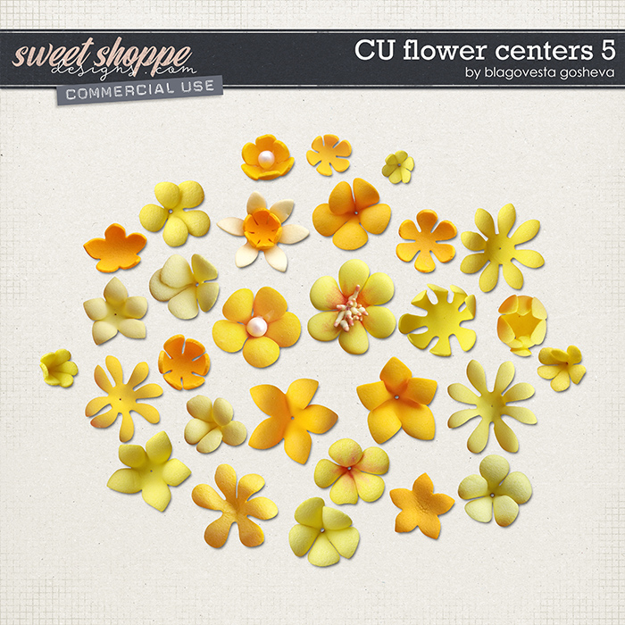 CU Flowers centers 5 by Blagovesta Gosheva CU Flowers centers 5 by Blagovesta Gosheva