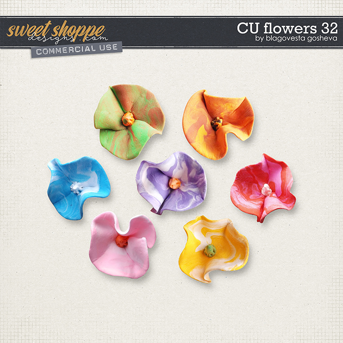 CU Flowers 32 by Blagovesta Gosheva