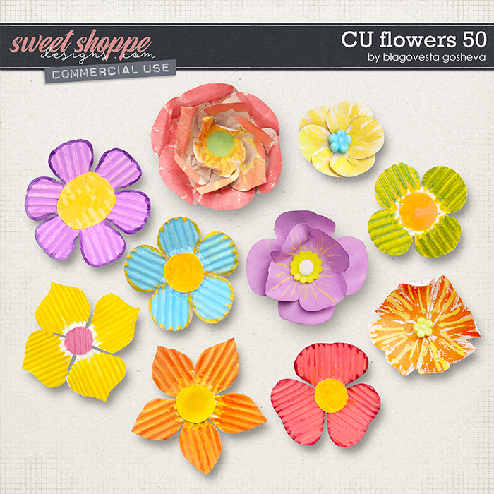 CU Flowers 50 by Blagovesta Gosheva