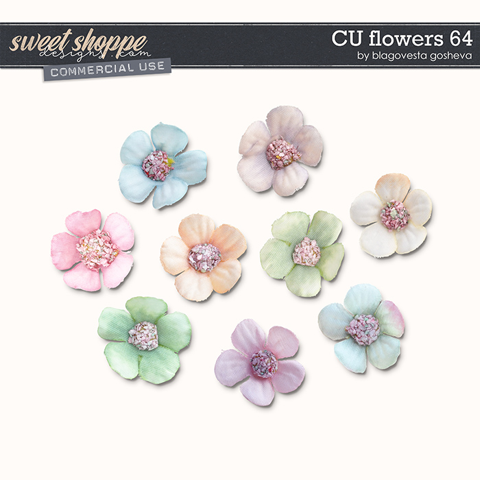 CU Flowers 64 by Blagovesta Gosheva CU Flowers 64 by Blagovesta Gosheva