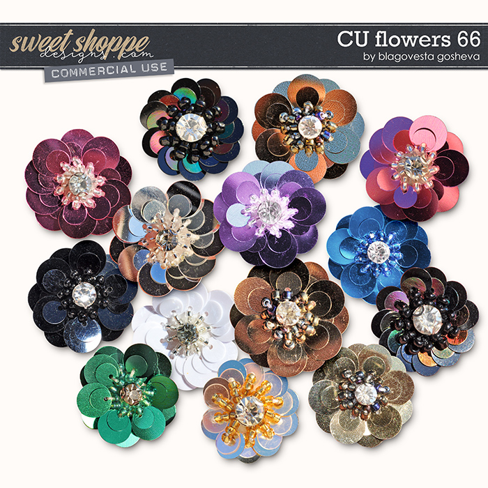 CU Flowers 66 by Blagovesta Gosheva