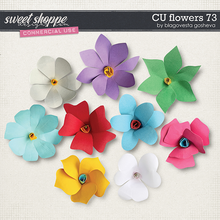 CU Flowers 73 by Blagovesta Gosheva