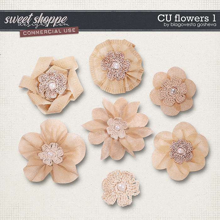 CU Flowers 1 by Blagovesta Gosheva CU Flowers 1 by Blagovesta Gosheva
