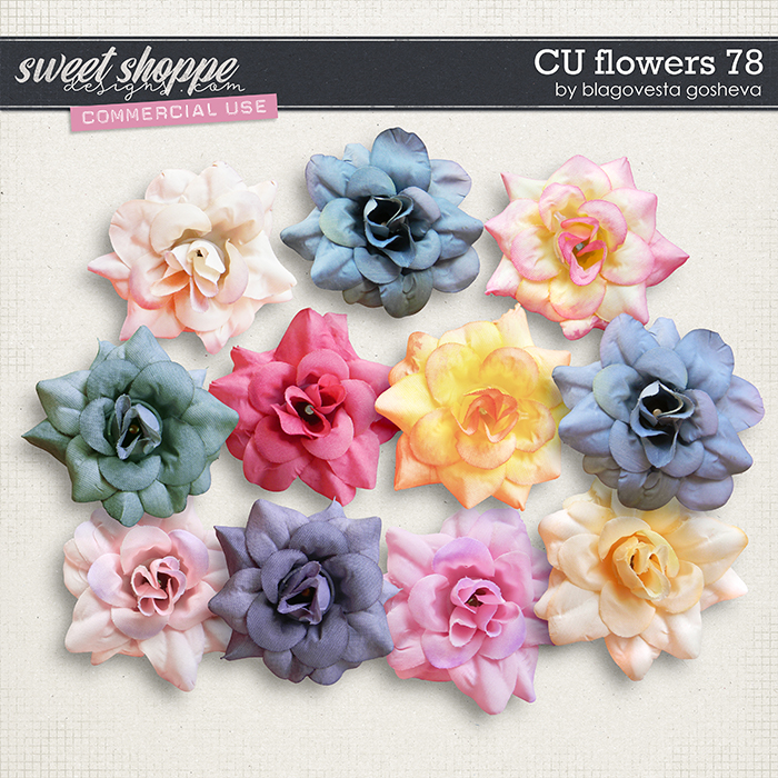 CU Flowers 78 by Blagovesta Gosheva