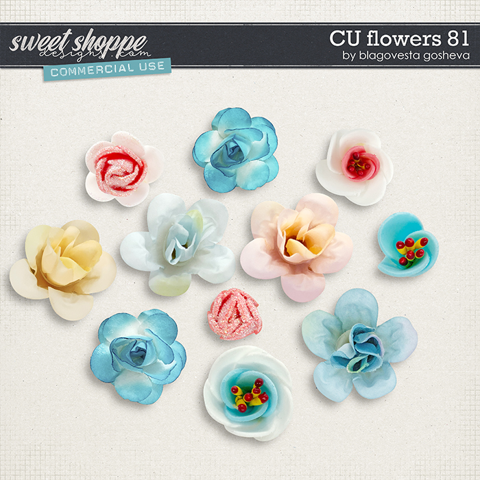 CU Flowers 81 by Blagovesta Gosheva