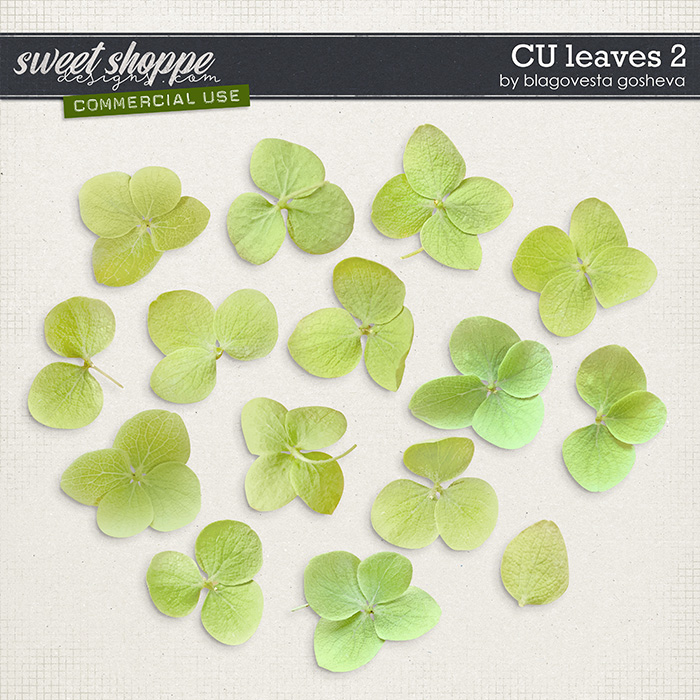 CU Leaves 2 by Blagovesta Gosheva