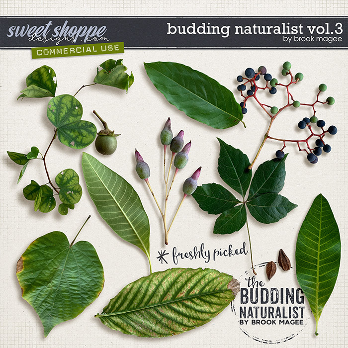 Budding Naturalist Vol.3 - CU - by Brook Magee