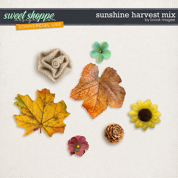 Sunshine Harvest Mix - CU - by Brook Magee