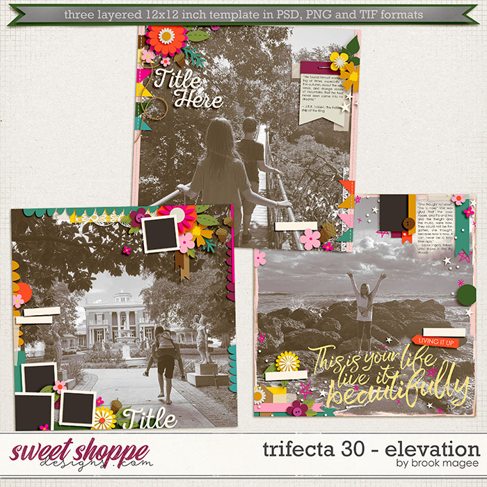 Brook's Templates - Trifecta 30 - Elevation by Brook Magee