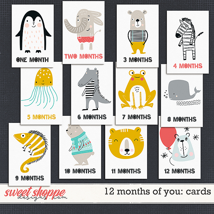 12 MONTHS OF YOU: POCKET CARDS by Janet Phillips