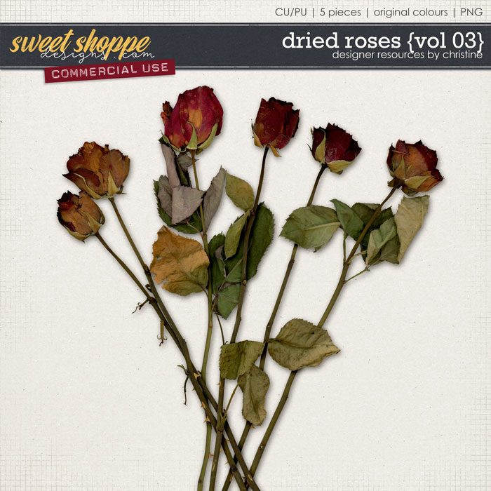 Dried Roses {Vol 03} by Christine Mortimer
