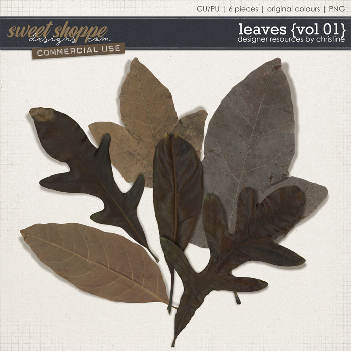 Leaves {Vol 01} by Christine Mortimer