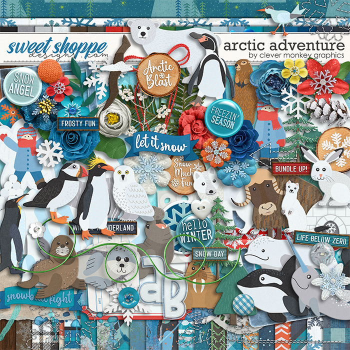 Arctic Adventure by Clever Monkey Graphics 