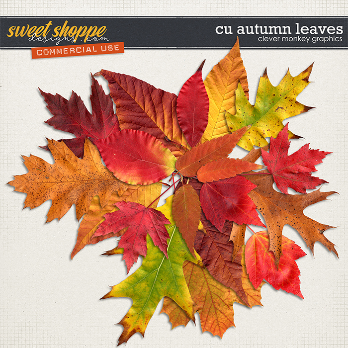 CU Autumn Leaves 1 by Clever Monkey Graphics 