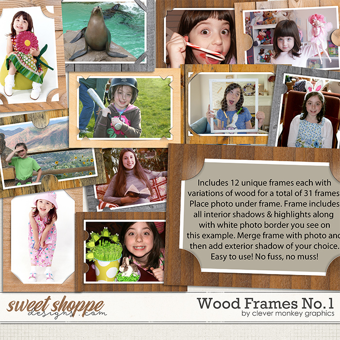 Wood Frames No1 by Clever Monkey Graphics  