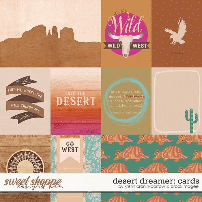 Desert Dreamer: Cards by Kristin Cronin-Barrow and Brook Magee