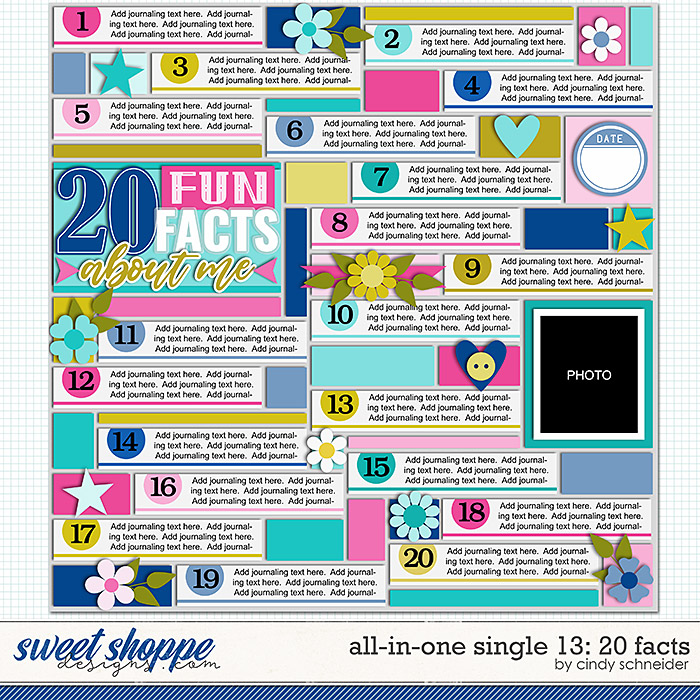 Cindy's Layered Templates - All in One Single 13: 20 Facts by Cindy Schneider