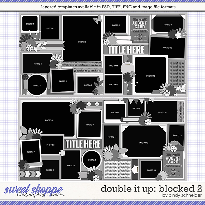 Cindy's Layered Templates - Double It Up: Blocked 2 by Cindy Schneider
