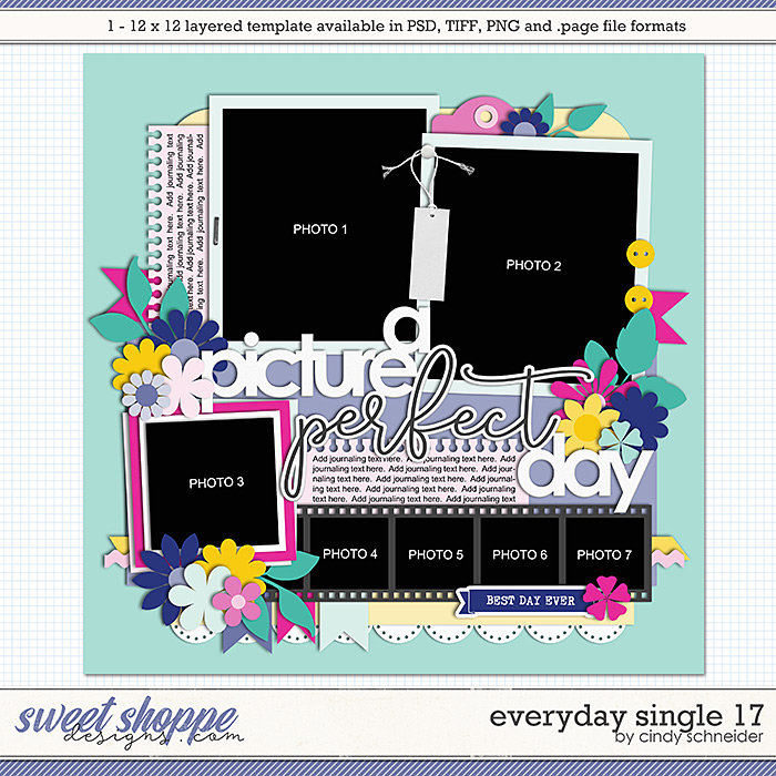 Cindy's Layered Templates - Everyday Single 17 by Cindy Schneider