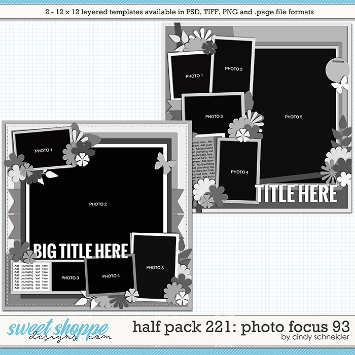 Cindy's Layered Templates - Half Pack 221: Photo Focus 93 by Cindy Schneider