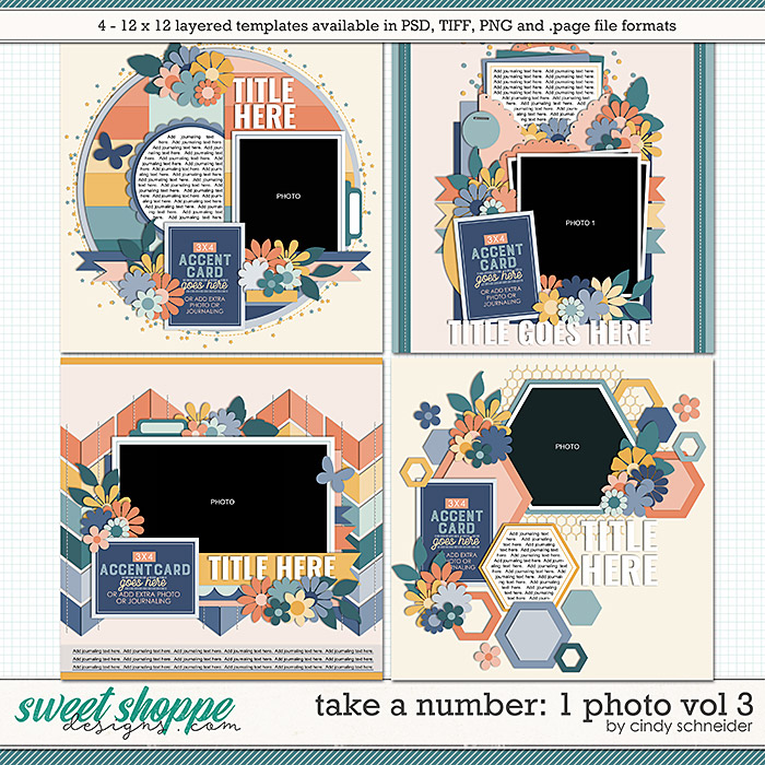 Cindy's Layered Templates - Take a Number: 1 Photo Vol. 3 by Cindy Schneider