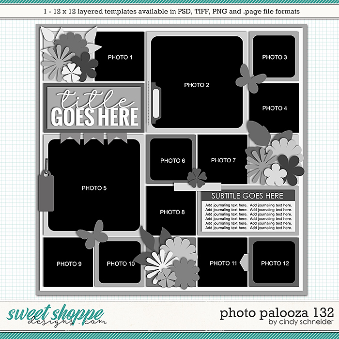 Cindy's Layered Templates - Photo Palooza 132 by Cindy Schneider