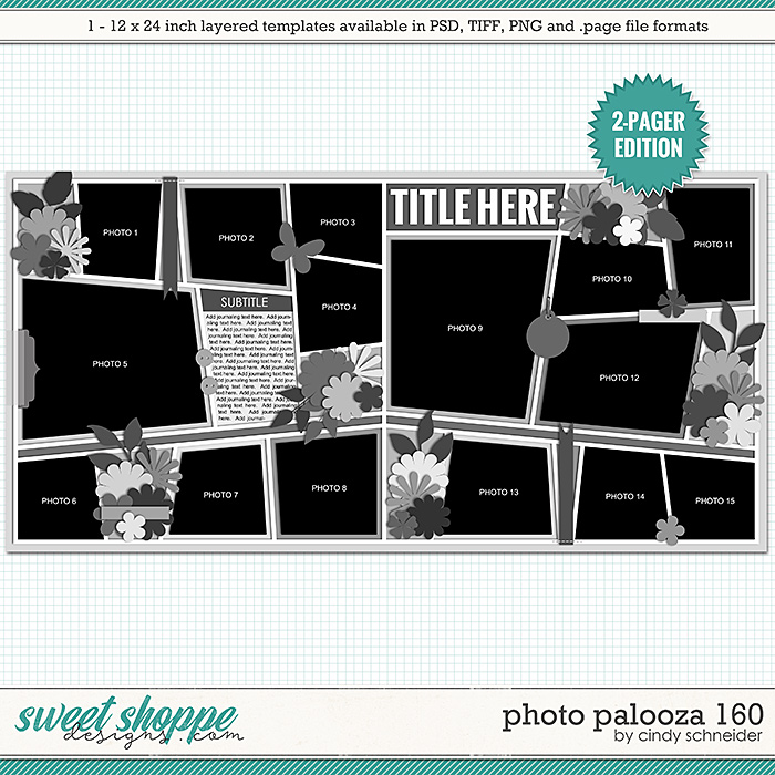 Cindy's Layered Templates - Photo Palooza 160 by Cindy Schneider