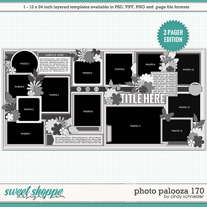 Cindy's Layered Templates - Photo Palooza 170 by Cindy Schneider