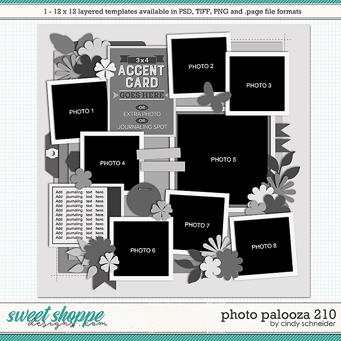 Cindy's Layered Templates - Photo Palooza 210 by Cindy Schneider