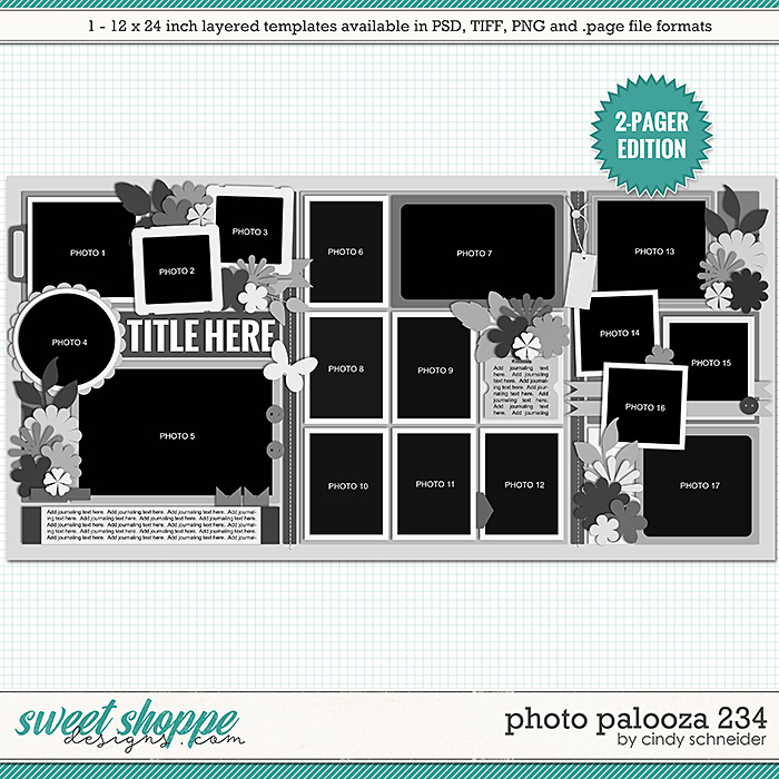 Cindy's Layered Templates - Photo Palooza 234 by Cindy Schneider