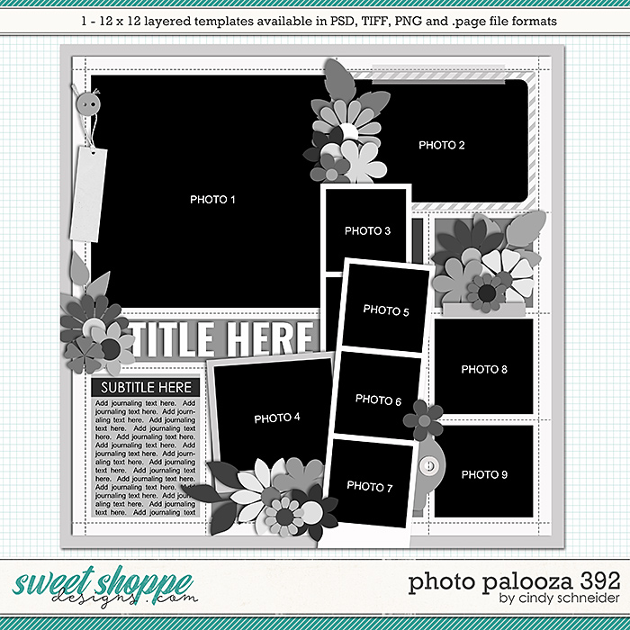 Cindy's Layered Templates - Photo Palooza 392 by Cindy Schneider