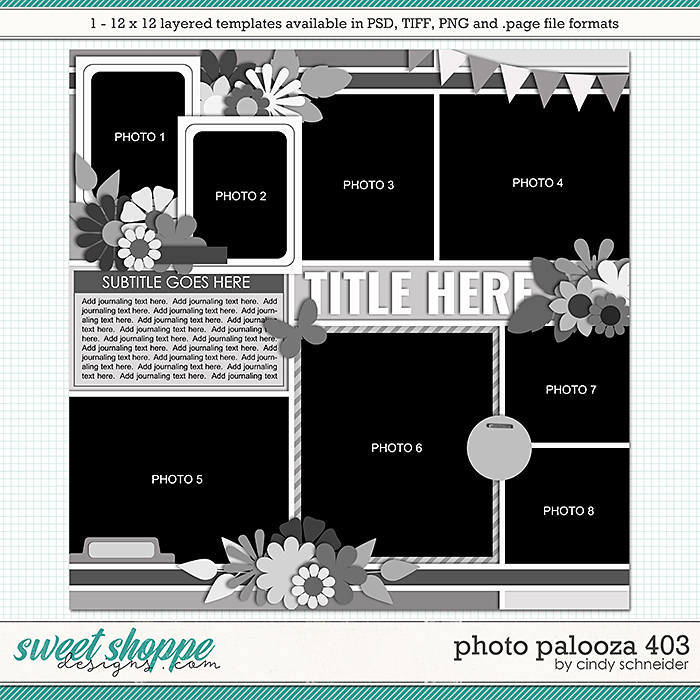 Cindy's Layered Templates - Photo Palooza 403 by Cindy Schneider