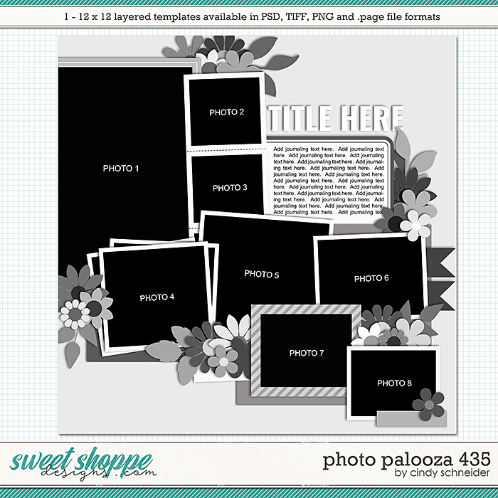 Cindy's Layered Templates - Photo Palooza 435 by Cindy Schneider