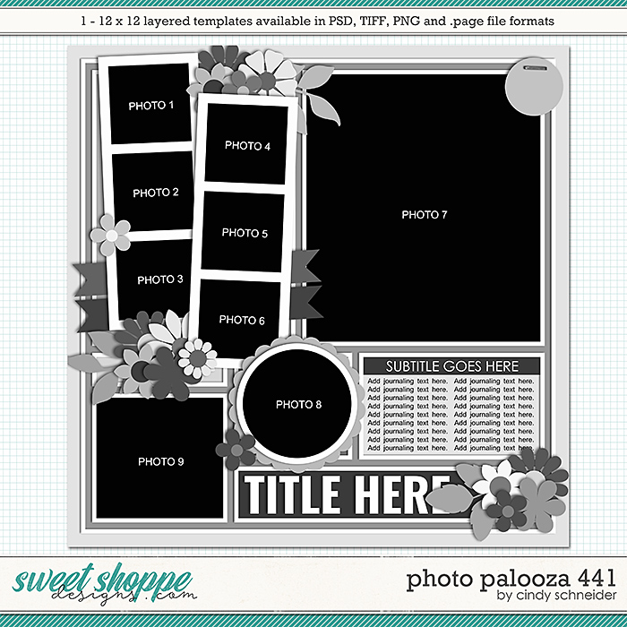 Cindy's Layered Templates - Photo Palooza 441 by Cindy Schneider