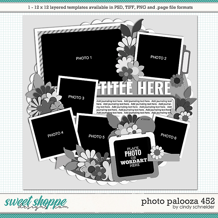 Cindy's Layered Templates - Photo Palooza 452 by Cindy Schneider