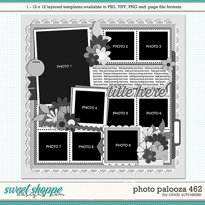 Cindy's Layered Templates - Photo Palooza 462 by Cindy Schneider
